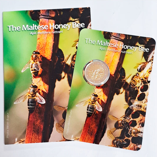 Moeda 2 Euros  Abelha Maltesa Malta 2024 Coincard